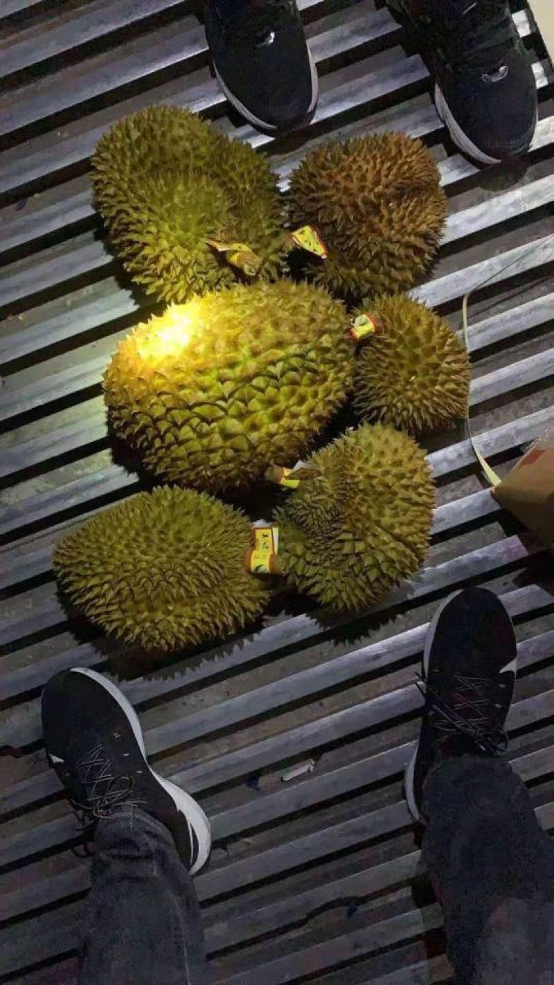 榴莲超高性价比现货秒发