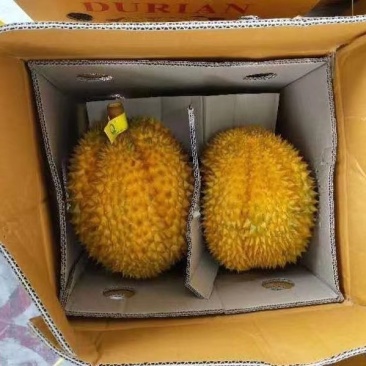 榴莲精品全国包邮现货秒发