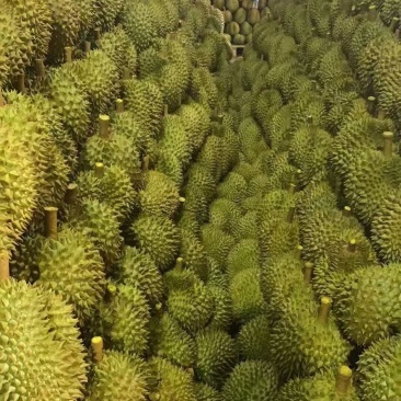 全国包邮正品保障榴莲诚信经营