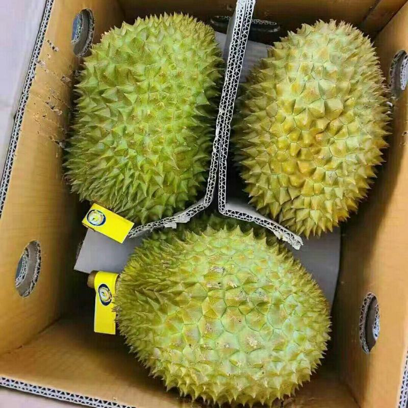 保质保量榴莲随时有货