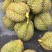 精品榴莲一手货源量大优惠