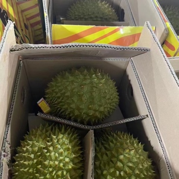 榴莲量大优惠全国包邮