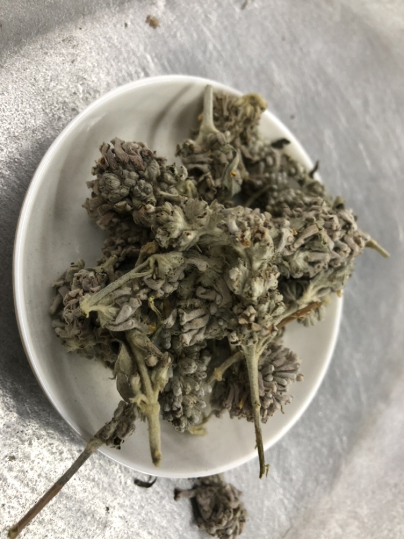 蜜桶花