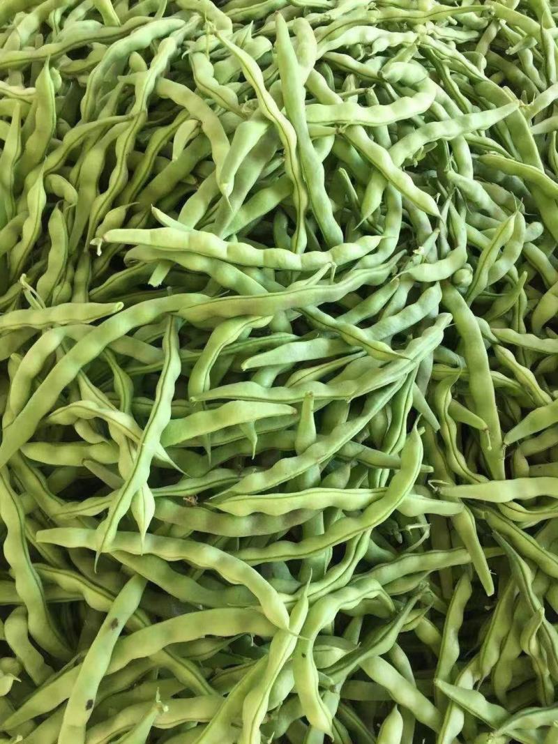 正品保障芸豆全国供应超高性价比