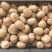 最新日期猕猴桃量大从优