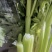 精品芹菜