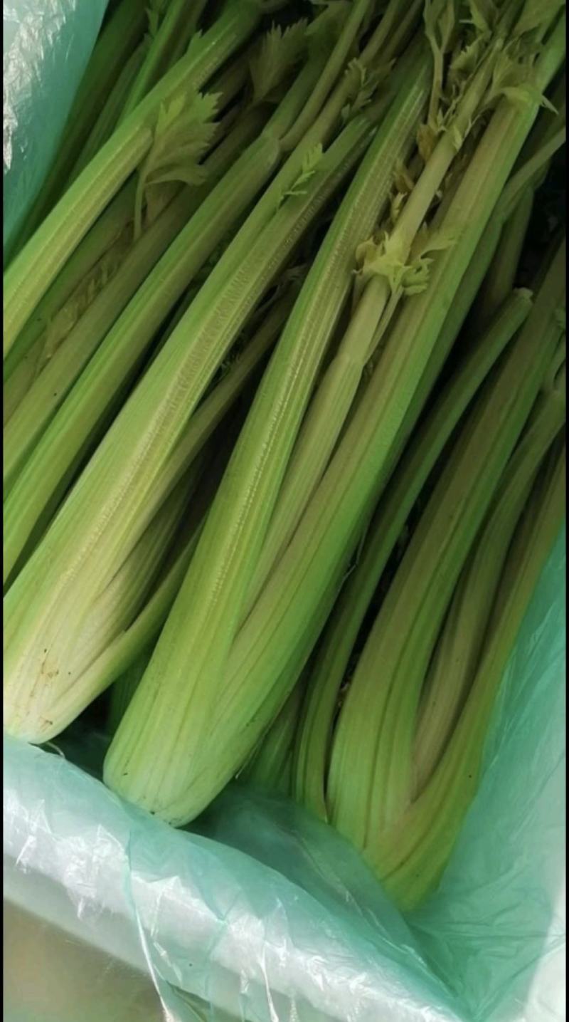精品芹菜