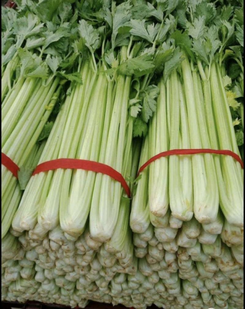 精品芹菜