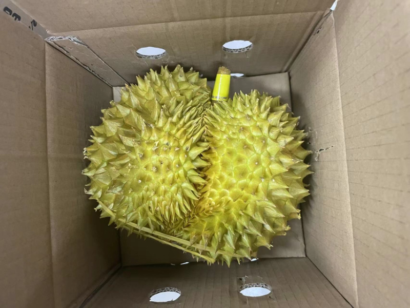 规格齐全榴莲一手货源