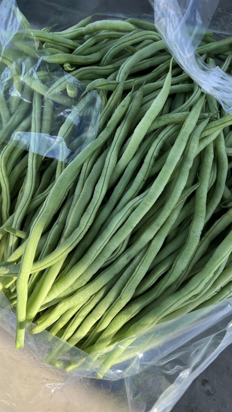正品保障豆角电商供货量大优惠