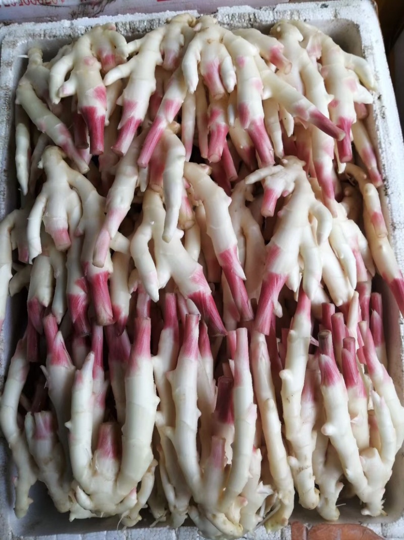 保质保量原产地生姜订多包送