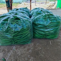 规格齐全鲜辣椒保质保量量大优惠下单秒发