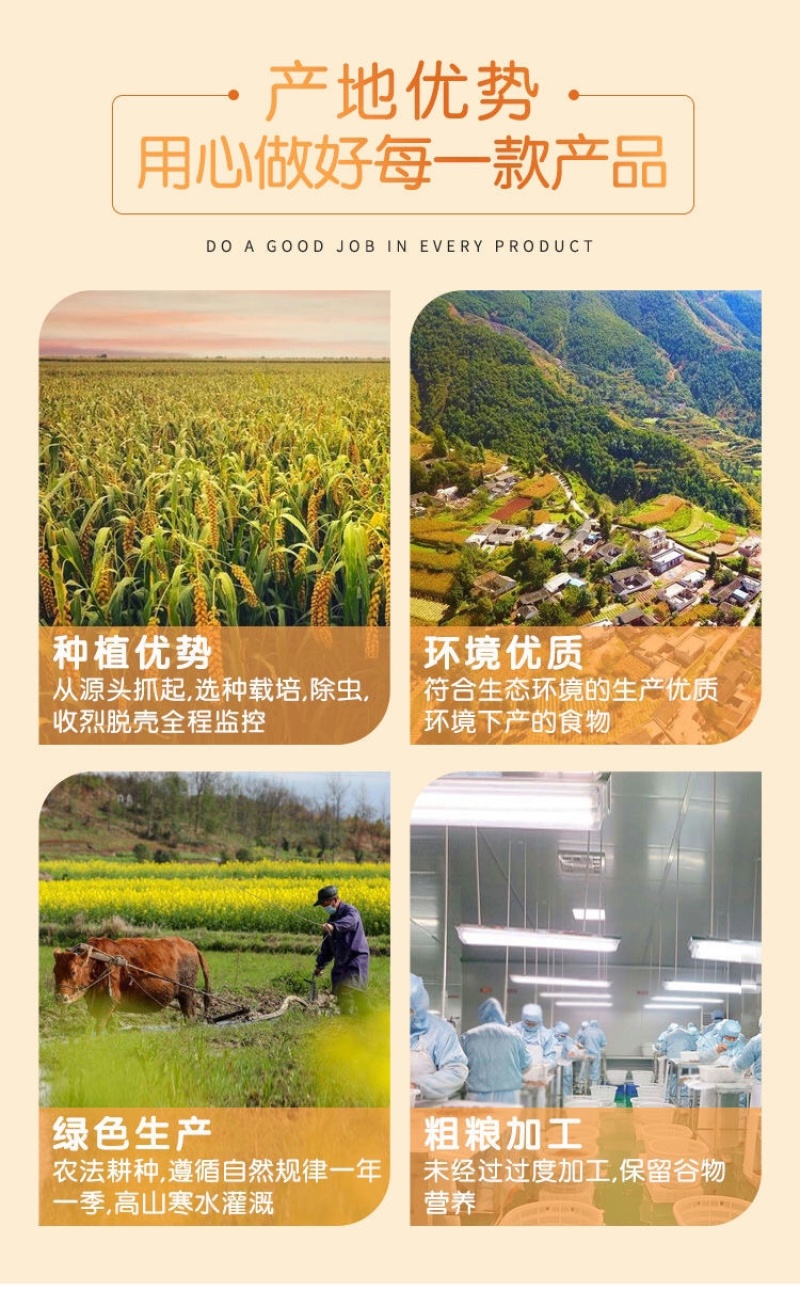 内蒙古赤峰黄金小米月子米5斤每袋包邮