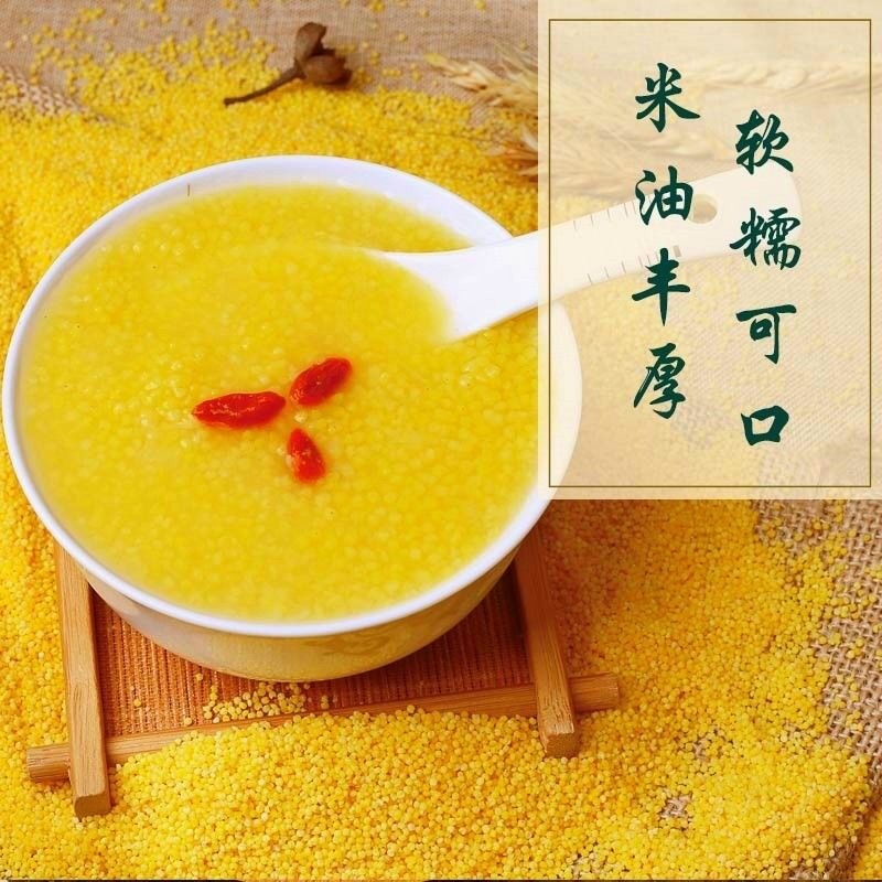 优质小米东北产地直发一年一季