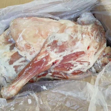 无杂质羊肉工厂直销诚信经营