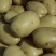 应季土豆厂家直销量大从优欢迎联系