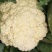***菜花厂家直销超高性价比下单秒发