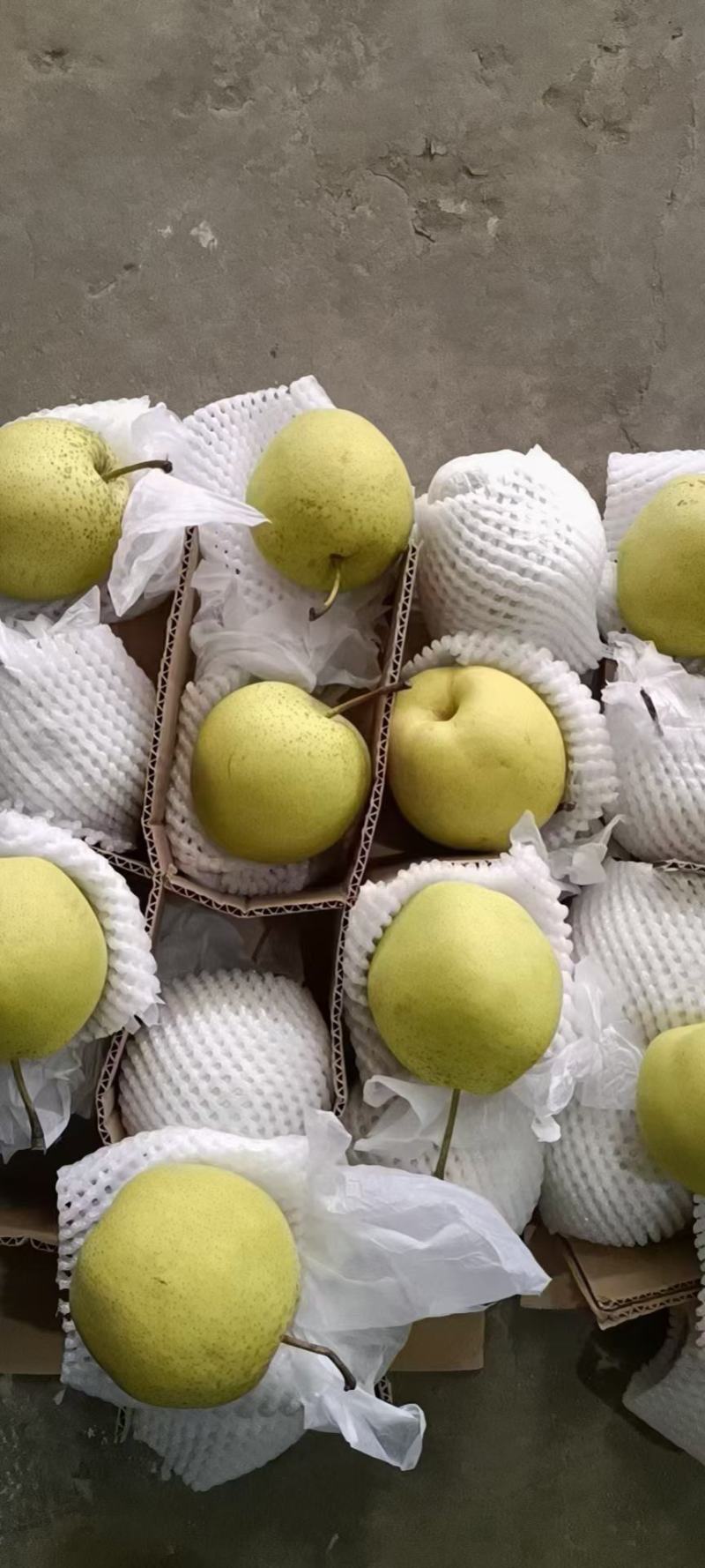 梨价格美丽应季