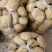精品土豆电商供货全国供应支持拿样