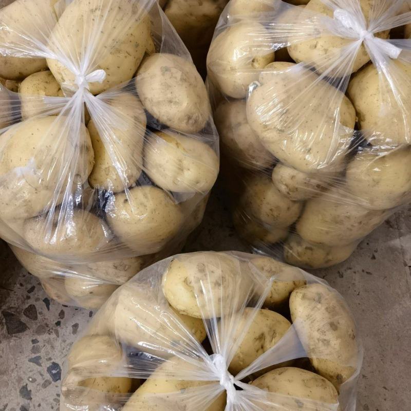 精品土豆电商供货全国供应支持拿样