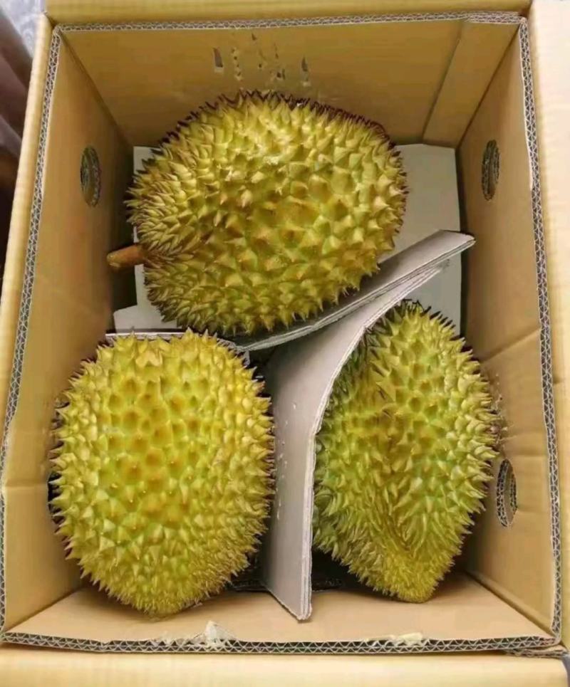 榴莲价格美丽营养多汁