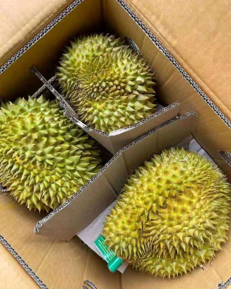正宗榴莲一件代发24小时在线服务