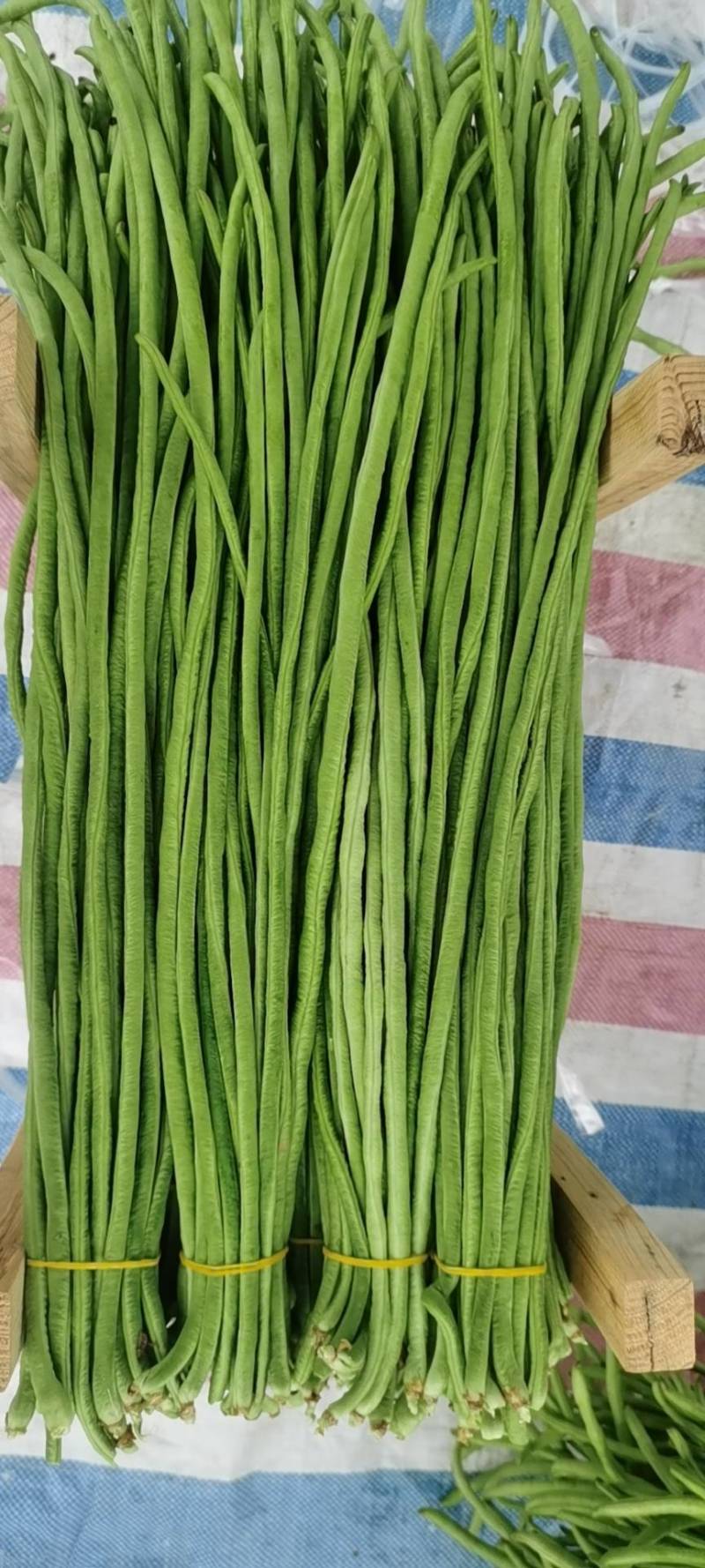 规格齐全豆角源头供应量大从优欢迎电话咨询