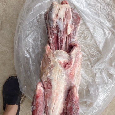 正宗羊肉现捡现发长期有货量大从优