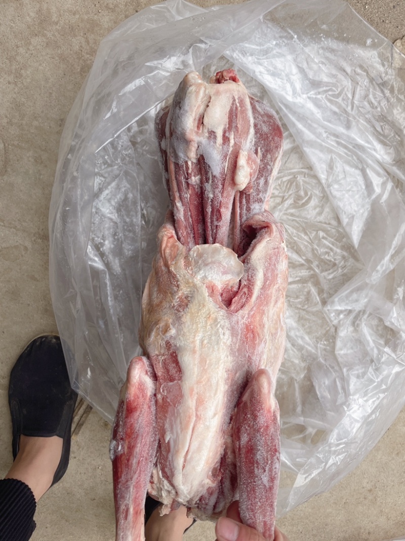 正宗羊肉现捡现发长期有货量大从优