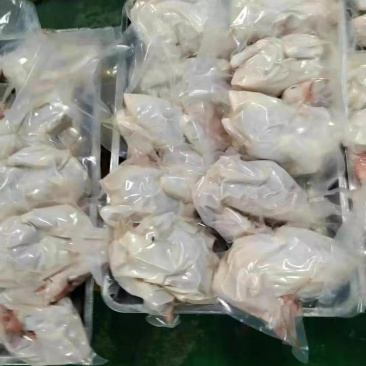 自产自销鸡肉现捡现发价格美丽