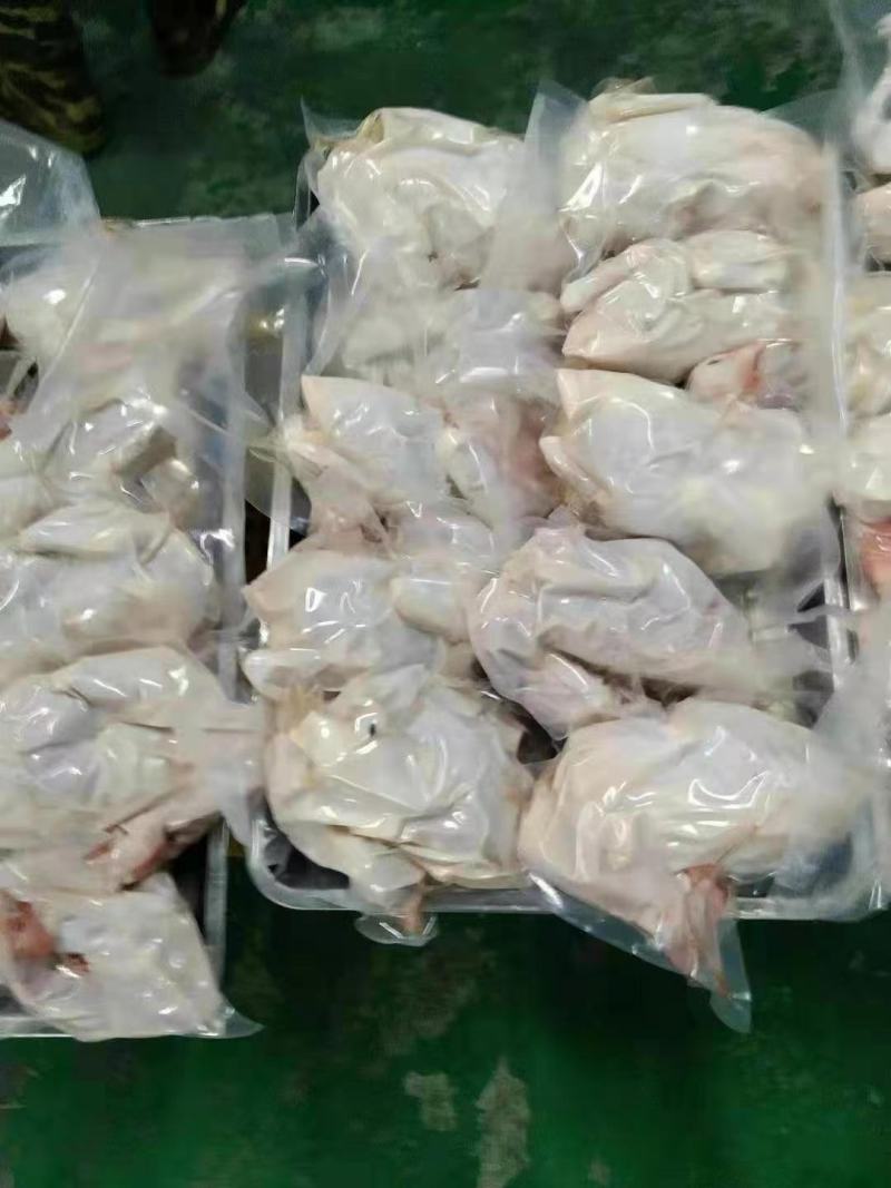 自产自销鸡肉现捡现发价格美丽