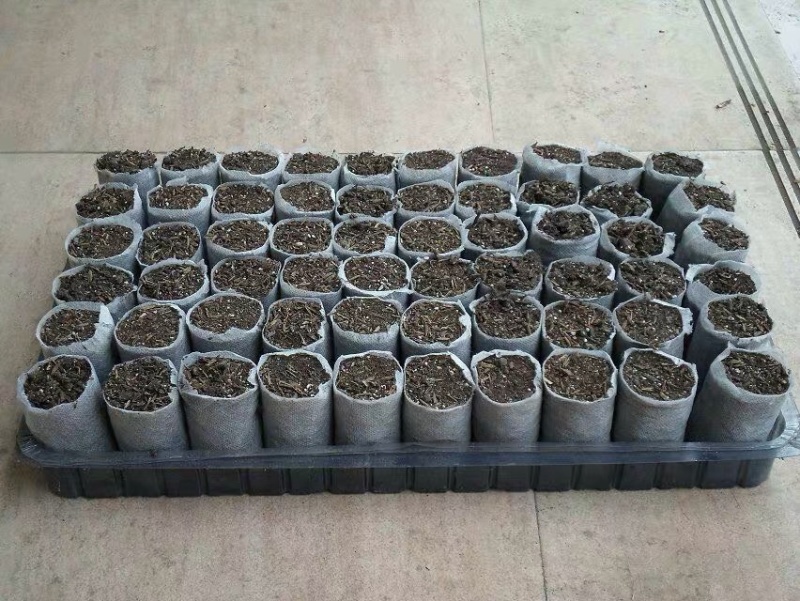 育苗袋耕地专用质优价廉