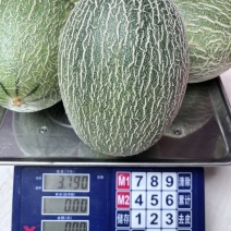 哈密瓜全网低价长期供货