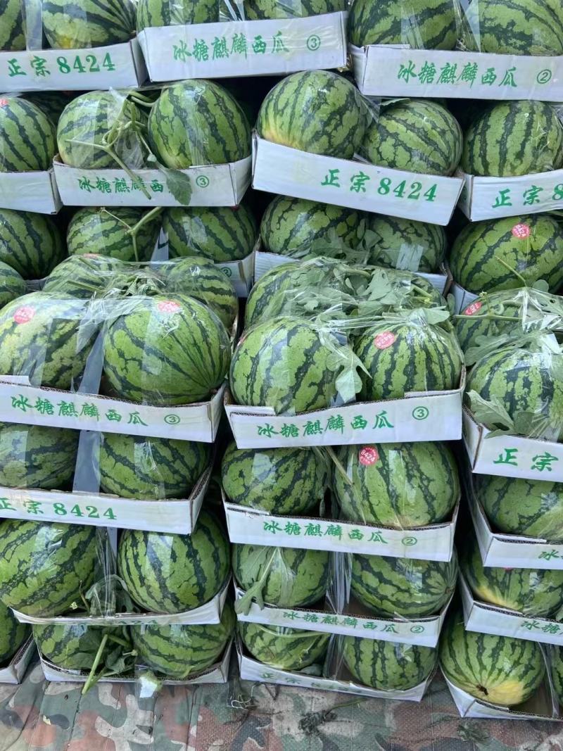 长期供应西瓜源头供应价格美丽