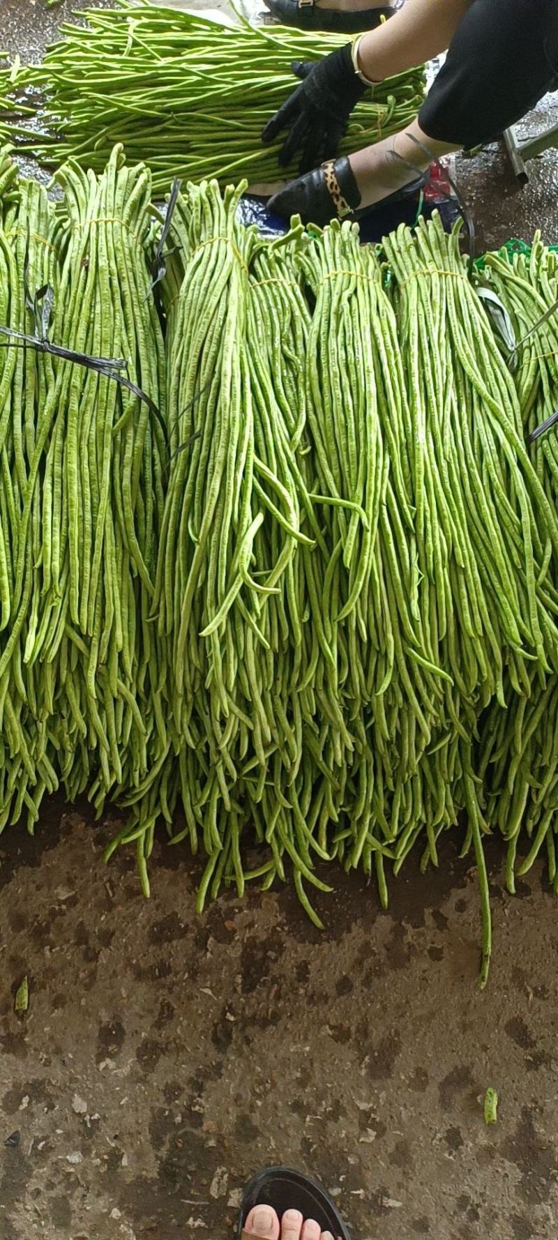 天然新鲜豆角电商供货超高性价比
