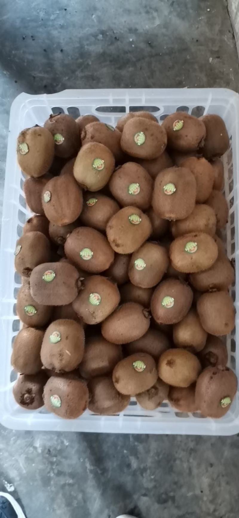 农户直销优质阳光玫瑰，巨峰，早红葡萄，开园上市热卖中……