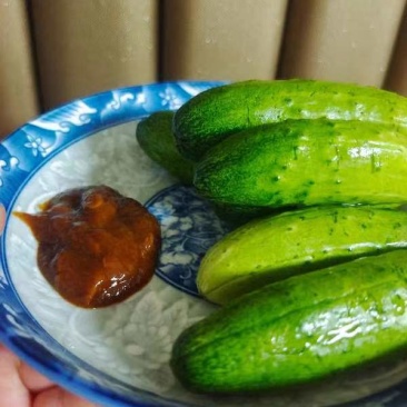 正品黄瓜保质保量量大优惠欢迎电话咨询