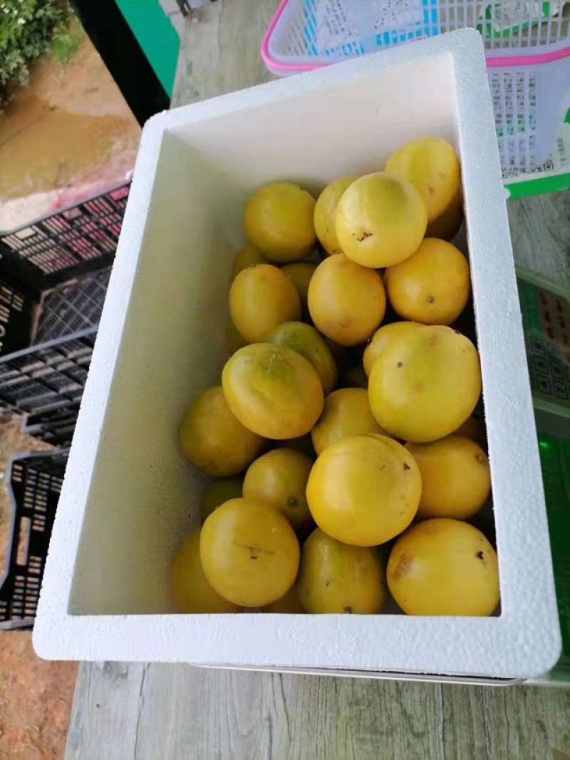 百香果量大优惠全国包邮
