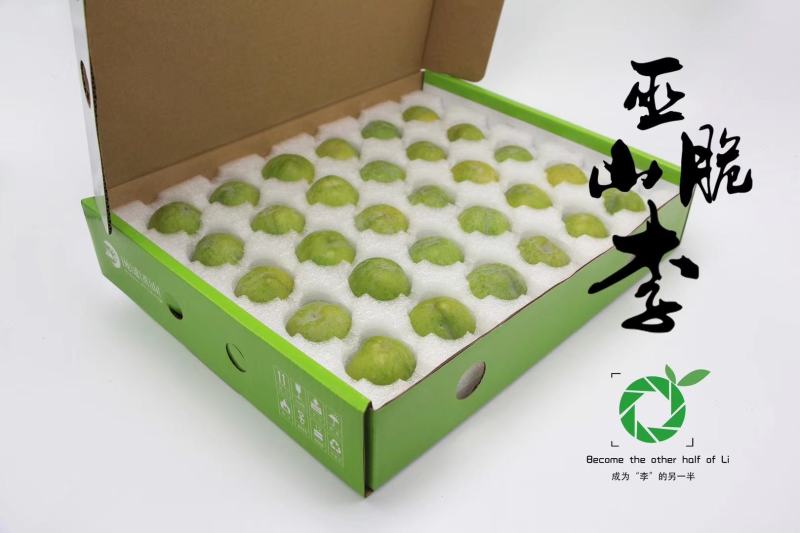 中华名果巫山脆李专业代办电商一件代发