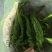 规格齐全鲜辣椒长期供应诚信经营