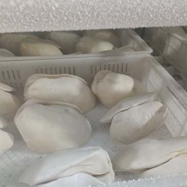鹅肝