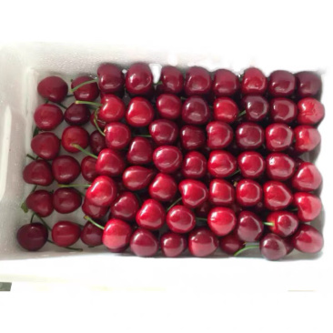 现货秒发樱桃支持拿样