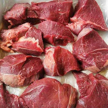 正品保障羊肉现货秒发整箱批发支持拿样