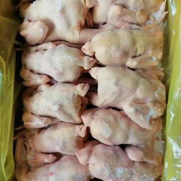 正品保障精品鸡肉长期有货超高性价比