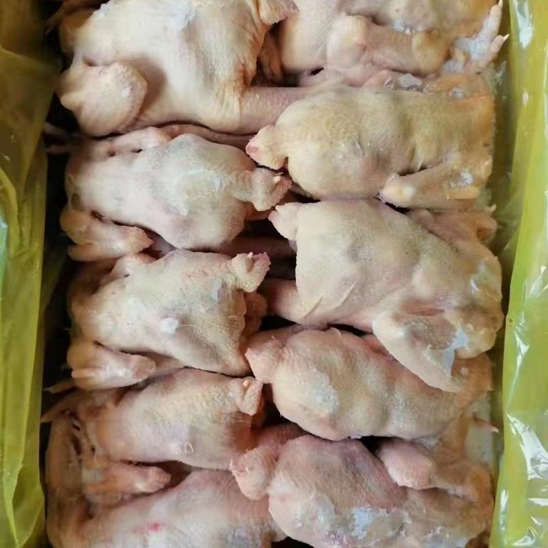 正品保障精品鸡肉长期有货超高性价比