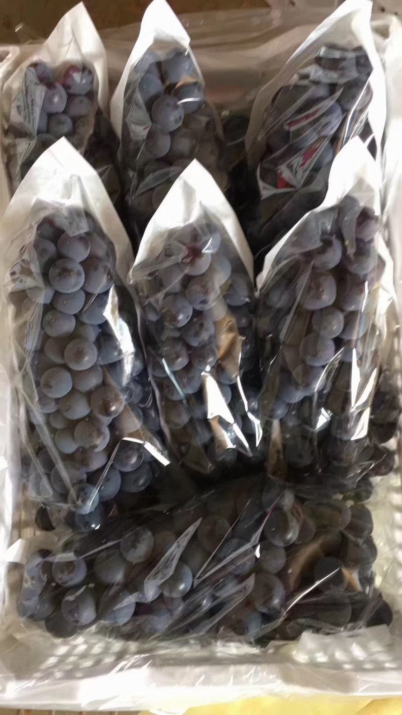 农户直销优质阳光玫瑰，巨峰，早红葡萄，开园上市热卖中……
