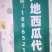 产地代办宁夏硒砂瓜石头西瓜代发全国保证质量