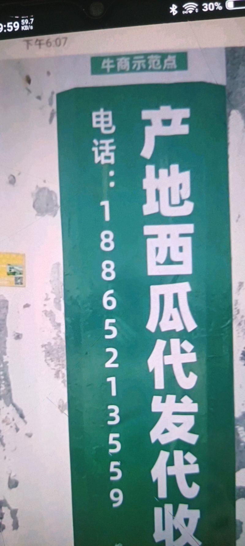 产地代办宁夏硒砂瓜石头西瓜代发全国保证质量