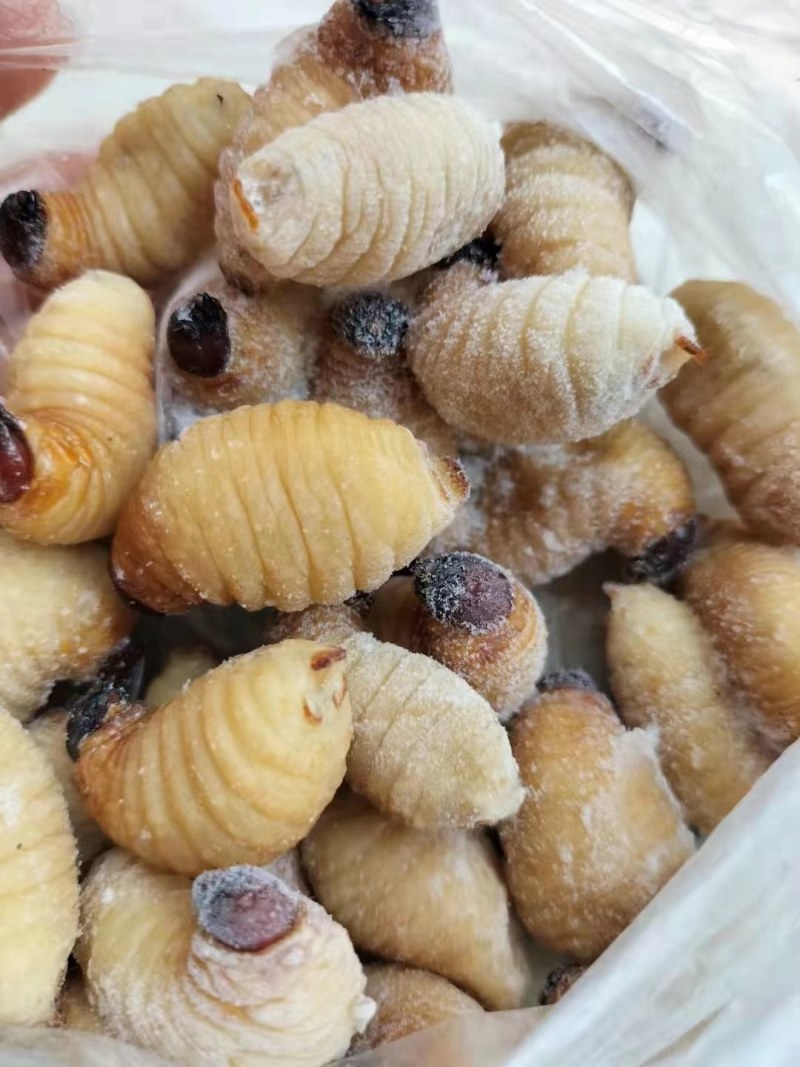 竹虫