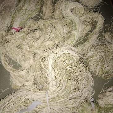 甜葫芦条基地直发性价比保证质量优